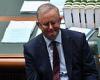 Fired-up Anthony Albanese slams Scott Morrison over bungled vaccine rollout