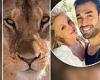 Britney Spears boyfriend' Sam Asghari shares snap of a lioness in support of ...