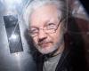 Edward Snowden warns 'Julian Assange could be next' after John McAfee hangs ...