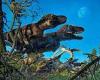 Fossils: Dinosaur 'maternity ward' with remains of seven different species ...