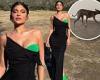 Kylie Jenner poses for sultry snap in a long black gown