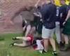 Rival English and Scottish soldiers punch each other in vicious Euro 2020 brawl ...
