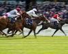 sport news Robin Goodfellow's racing tips: Best bets for Saturday, June 26