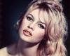 Movie icon Brigitte Bardot is found guilty of libel and fined over Nazi-related ...