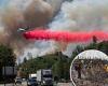 California wild fire grows to 17,000 acres and threatens thousands of tiny ...