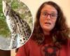 Georgia woman recalls terror after waking up to find African wildcat had ...