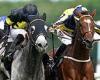 sport news Robin Goodfellow's racing tips: Best bets for Tuesday, July 6