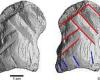 World's oldest ORNAMENT is discovered in Germany