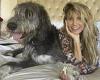 Heidi Klum and her dog Anton get ready to watch America's Got Talent from bed