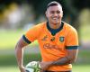 Wallabies coach adds four new recruits to inexperienced squad for France clash