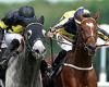 sport news Robin Goodfellow's racing tips: Best bets for Friday, July 9