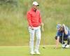 sport news Rory McIlroy looks on in bemusement as spectator takes a club from his bag at ...