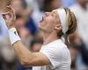 sport news Denis Shapovalov explodes at Wimbledon umpire shouting 'are you joking me'