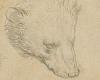 Leonardo Da Vinci £8.8MILLION animal portrait becomes most-expensive drawing ...