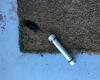 Pascoe Vale family find pipe bomb on doorstep as bomb squad called in to north ...