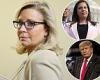 Liz Cheney raises $1.88M in three months and beats Elise Stefanik after she ...