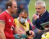 sport news Lions will make a decision on flying captain Alun Wyn Jones out to South Africa ...