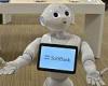 Pepper the robot has lost jobs because people 'expect the intelligence of a ...