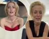 Gillian Anderson vows to never wear bra again after lockdown even if breasts ...
