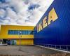 IKEA accused of using wood linked to illegal logging in Russian forests
