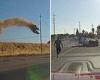 Moment smoking car flies off overpass and crash lands on highway directly in ...