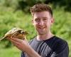 Maxi the tortoise scales 12in fence in bid for freedom and is found half a mile ...
