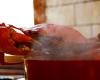 Is it cruel to boil crabs alive? Here’s what the science says about sea ...