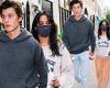 Shawn Mendes and Camila Cabello hold hands during casual stroll around downtown ...