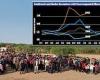 At least 147 unaccompanied children detained by U.S. Border Patrol agents in ...