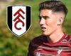 sport news Liverpool's Harry Wilson LEAVES pre-season training camp in Austria to complete ...