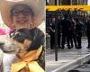 Woman, 60, who leapt to her death with her dog in New York City identified 