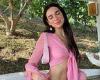 Dua Lipa flaunts her sensational figure in a plunging pink crop top with her ...