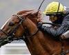 sport news Robin Goodfellow's racing tips: Best bets for Tuesday, July 27