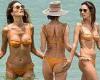 Alessandra Ambrosio sets pulses racing in a barely-there bikini