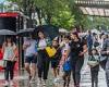 Met Office ramps up storm warning to AMBER with three-day deluge starting ...