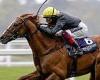 sport news Robin Goodfellow's racing tips: Best bets for Saturday, July 31