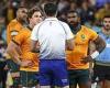 sport news British and Irish Lions launch charm offensive on second Test referee Ben ...
