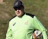 sport news Rassie Erasmus' behaviour this week has been appalling and brought the game ...