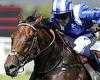 sport news Sprinting star Battaash could retire after falling short in King George Qatar ...