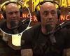 Joe Rogan rants how gay and transgender people are the 'most vicious' champions ...