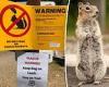 Beach on Lake Tahoe's south shore is closed down after chipmunks test positive ...