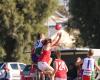 Southern sporting clubs blocked from playing near NSW-Victoria border over ...