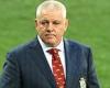 sport news Lions have ANOTHER war in store against South Africa even as Warren Gatland ...