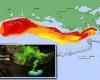 Gulf of Mexico's dead zone where low oxygen suffocates marine life is now ...