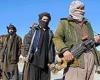 Resurgent Taliban kidnap and forcibly marry teenage girls as fighters recapture ...