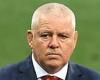 sport news Lions want Warren Gatland to remain in charge for 2025 tour of Australia ...