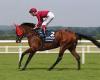 sport news 10 million reasons why Mishriff is the one to watch at the International Stakes ...