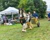 Pubs and shops shut for days as 'divisive' gypsy horse fair begins near Leeds