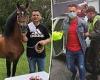 Colombian horse breeder is arrested for leading gang that provided services to ...