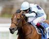 sport news Trainer Ed Walker backs Starman to take advantage of favourable conditions at ...